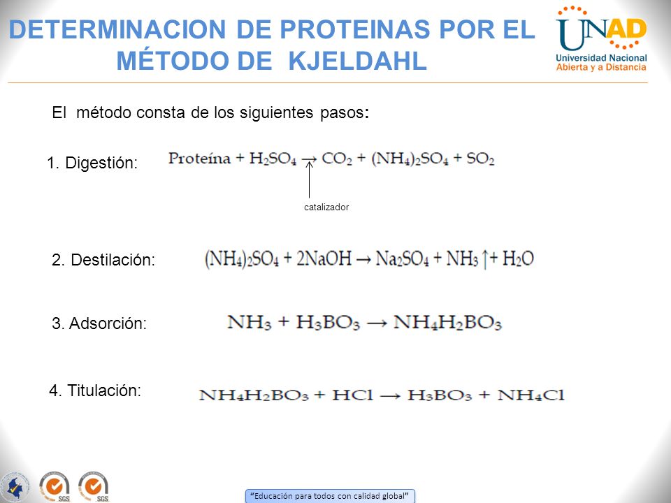 Metodo kjeldahl para protein as para bajar de peso